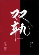双轨海外热播引国内争议